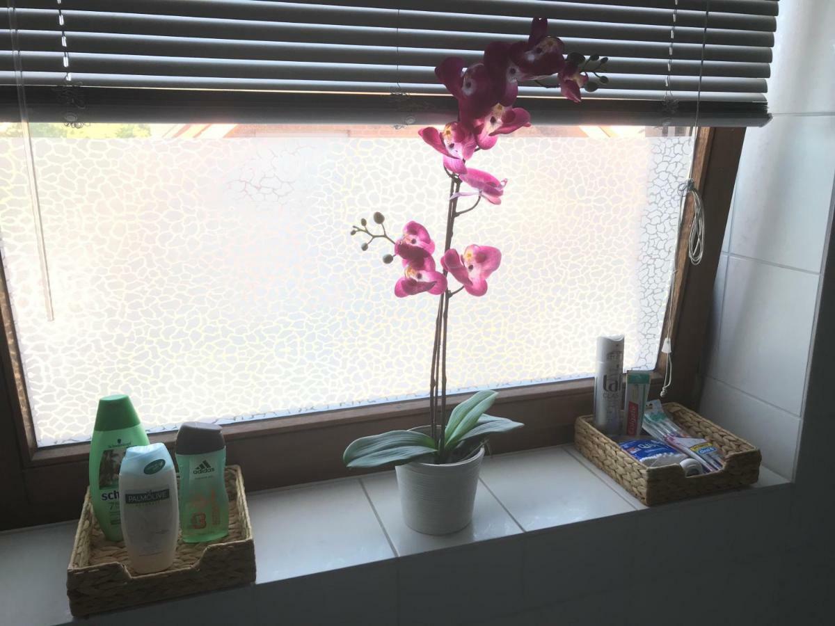 Apartment Business ++ Hochwertige Ausstattung Paderborn